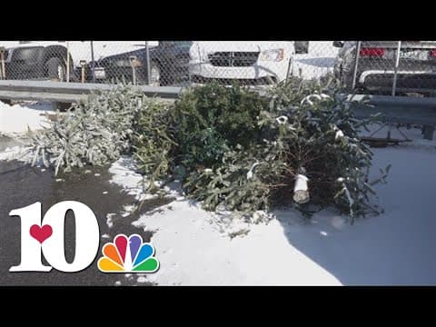 Free Christmas tree recycling starts Jan. 3