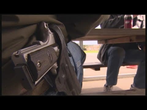 Ohio senate votes to allow concealed carry of guns without training or background checks