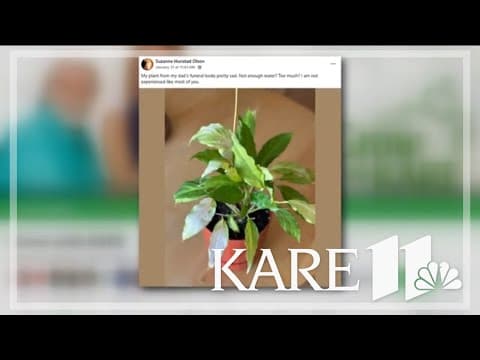 Bobby answers your Grow with KARE questions - Feb. 8, 2025