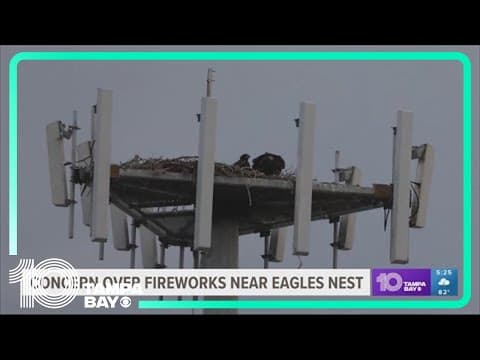 Birdwatchers raise concern over fireworks planned near eagle's nest
