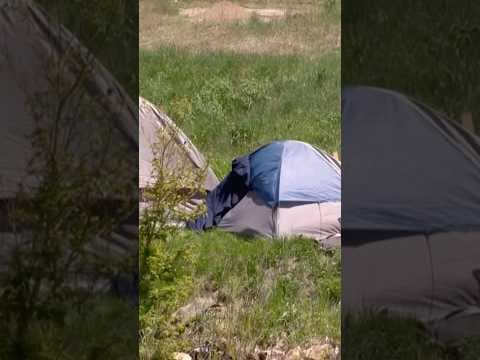 Aurora City Council removes barriers to removing homeless camps