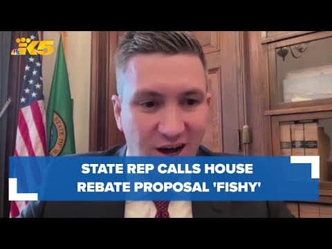 Rep. Drew Stokesbary calls House rebate proposal 'fishy'