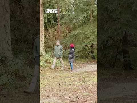 'Aggressive' owl attacking visitors at Everett park