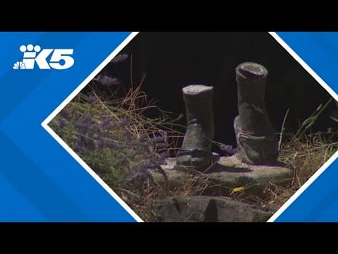 Statue of girl who survived Hiroshima bombing missing from Seattle park
