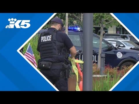 Gunshots fired near Seattle waterfront while KING films unrelated segment