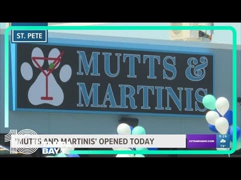 New St. Pete dog water park now open