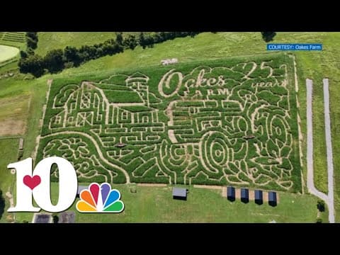 Oakes Farm has reveals their corn maze: Celebrating 25 years