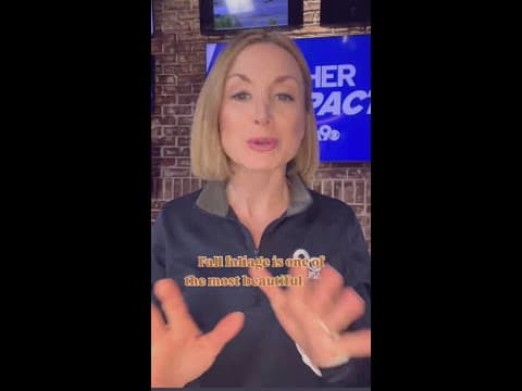 Why fall foliage may *leaf* you disappointed this year