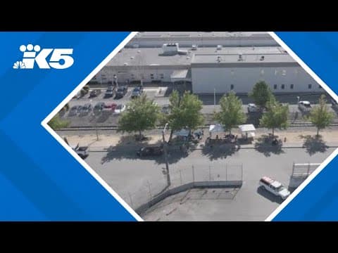 Immigration attorneys turn to centuries-old legal tool to help release clients from ICE custody