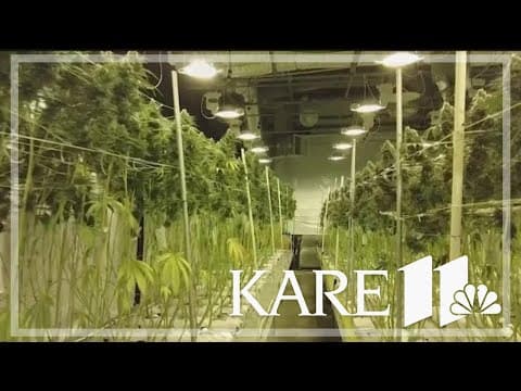 Fate of marijuana bill rests in MN Senate