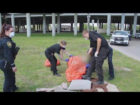 'Why did  you do that?' | Good Samaritan credited with saving 4 abandoned dogs after 6 others found