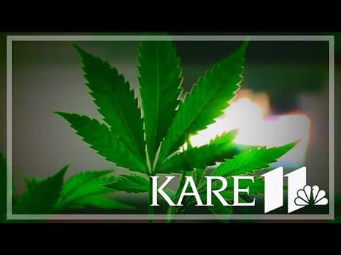 Minnesota starts crafting rules for cannabis industry as permanent director position is still open