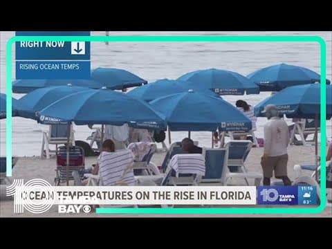 Florida in hot water as ocean temperatures rise along with the humidity