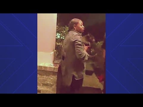 Woman accused of falsely claiming missing dogs