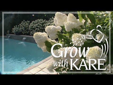 Grow with KARE: Benefits of a white garden