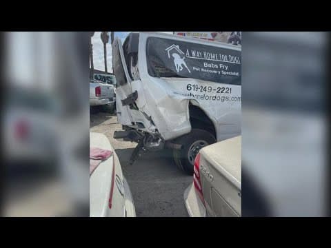 A local nonprofit dog rescue calls for help after car accident