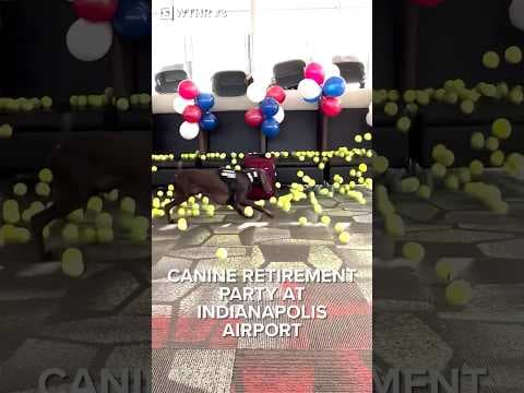 Canine retirement party at Indianapolis airport