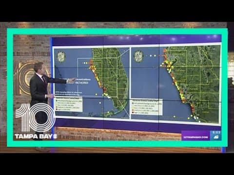 Red tide lingers, but improving along Tampa Bay area beaches