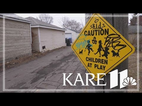 Man charged in St. Paul dog attack