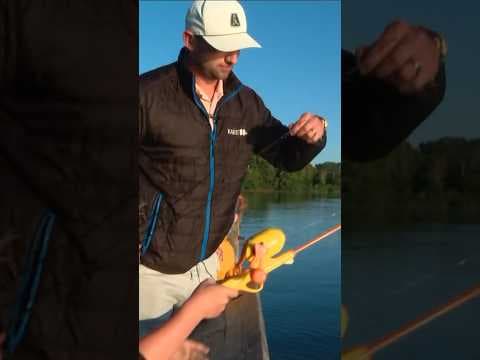 TV weather anchor celebrates Take a Kid Fishing weekend by taking his kids fishing on live tv!