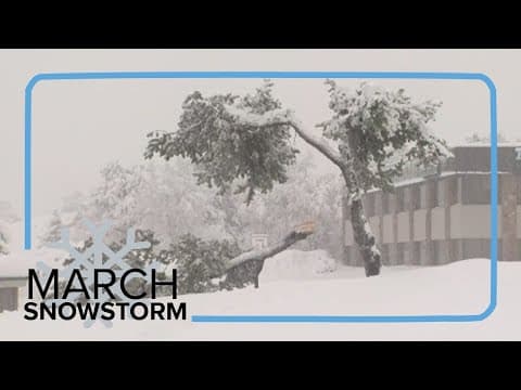 Heavy snow snaps tree branches in Centennial
