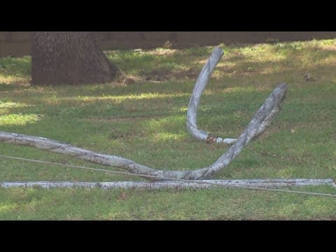 Fort Worth man catches thieves trying to steal copper wire from utility pole