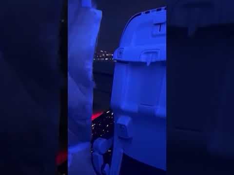 Alaska Airlines flight attendants sue airline over door plug incident