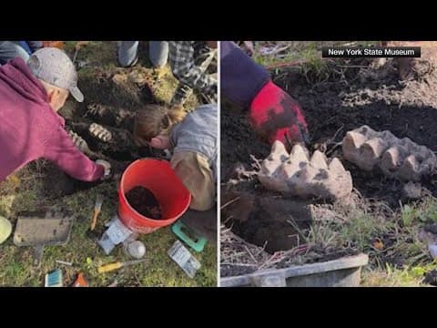 Homeowner finds fossil in their front yard