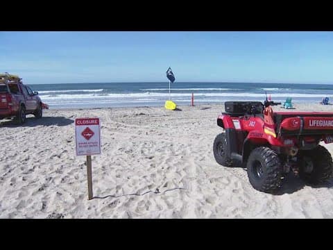 Del Mar shark attack prompts beach closure at 17th Street