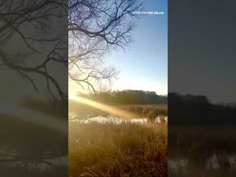 Moment of zen: #SoundUp for a morning symphony on White Bear Lake. #shorts #kare11 #minnesota