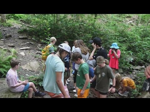Cool Camps: Kids explore the Smokies at the Great Smoky Mountains Institute