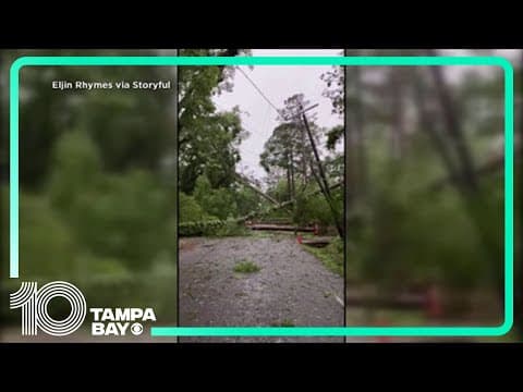 Possible Tallahassee tornado uproots trees, downs powerlines, leaves damage behind