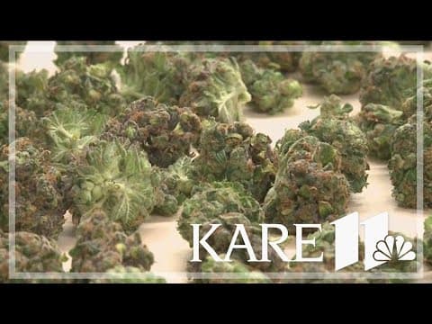 Cannabis Research Center opens at U of M