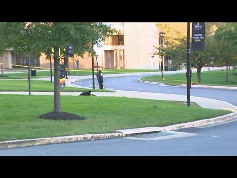 Police investigate shooting at Bowie State University homecoming