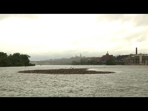 Video: Island of trash and debris on the Potomac in aftermath of Debby