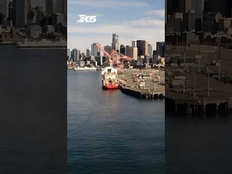 Is the Port of Seattle a "ghost town"?