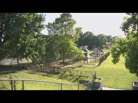 Parents push to save Nalle Elementary outdoor space amid DCPS renovation plans