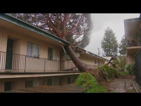 Biden to visit devastated areas of California on Thursday