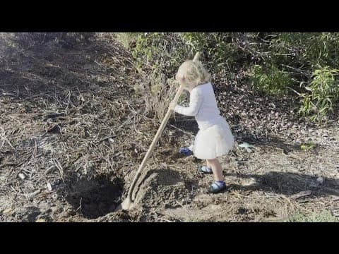 Working for Our Planet | Try to plant a tree