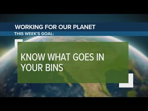 Know what goes in your recycling and waste bins | Working for Our Planet