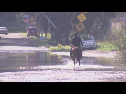 Border Patrol helps rescue 27 horses from flood waters