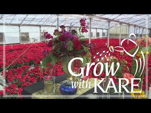 Grow with KARE: The 4 Fs for creating a holiday centerpiece