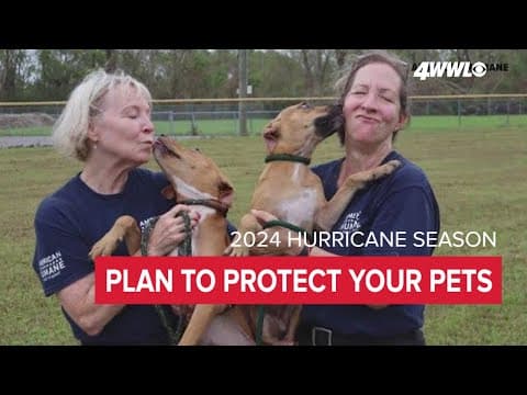 Hurricane Season safety tips for pets