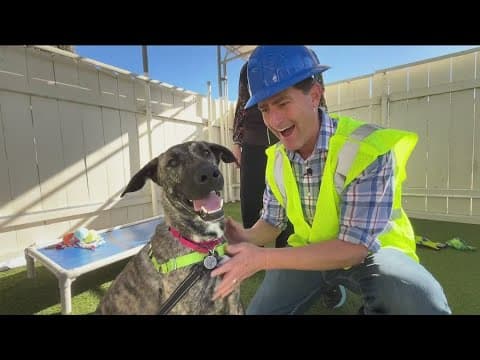 Rancho Coastal Humane Society project expansion goes to the dogs... cats...and rabbits | Zevely Zone