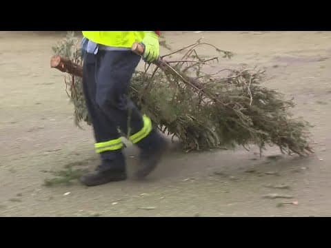 DC Christmas greenery recycling begins Jan. 3