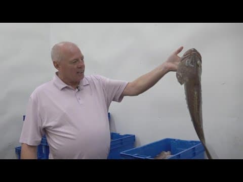 Preparations for first fish fry of lent underway in many La. schools, churches