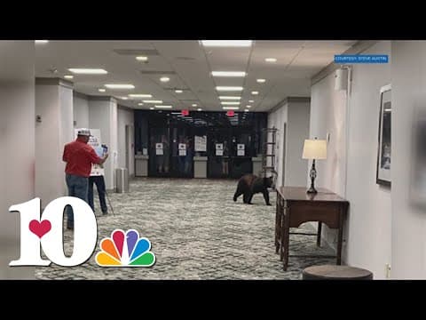 Bear explores inside downtown Gatlinburg hotel