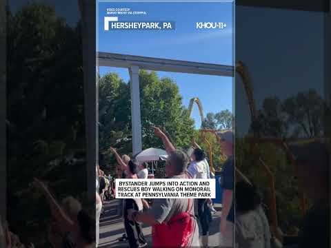 Boy rescued from Hersheypark monorail track #shorts