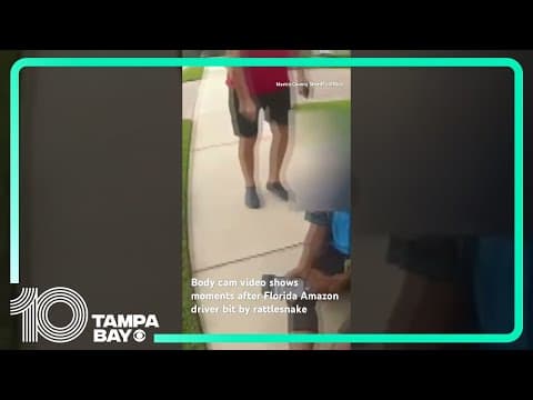 #Bodycam video shows moments after #Florida #Amazon driver bit by #rattlesnake #shorts