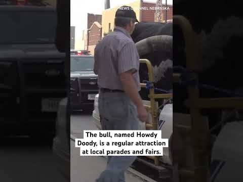 Consider this the craziest traffic stop we’ve ever seen.